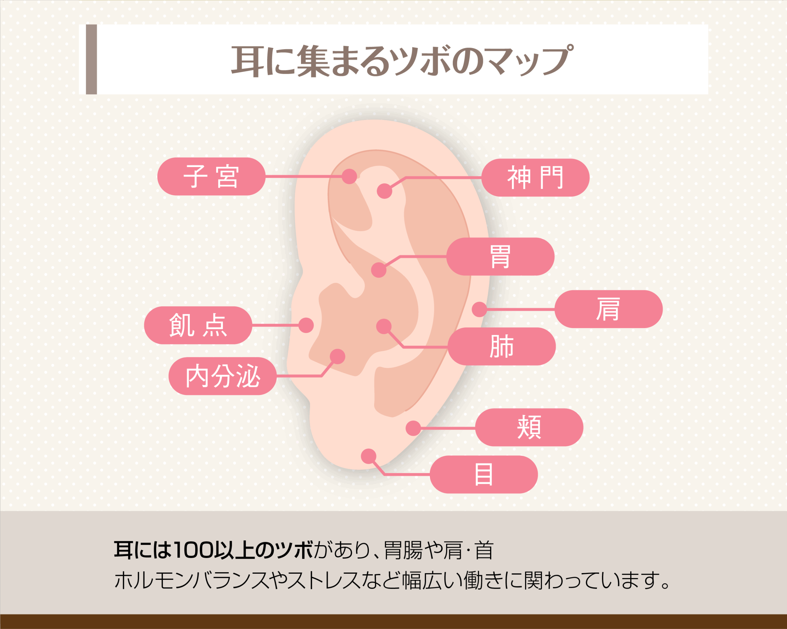耳に集まるツボのマップ